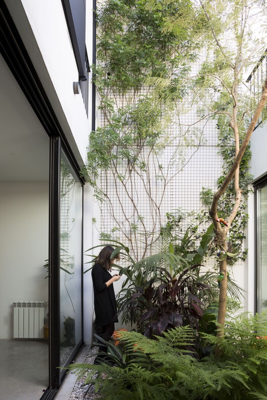 阿根廷 Parque Chas 小区 Giribone House丨Sava Arquitectos-19