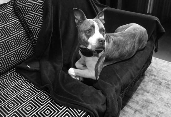 Hotel Lilla Roberts酒店丨芬兰赫尔辛基丨Puroplan Oy室内设计工作室-95