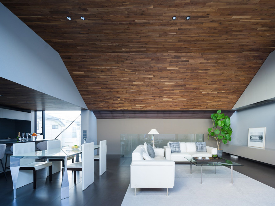 东京 LAXUS 住宅丨日本东京丨APOLLO-3