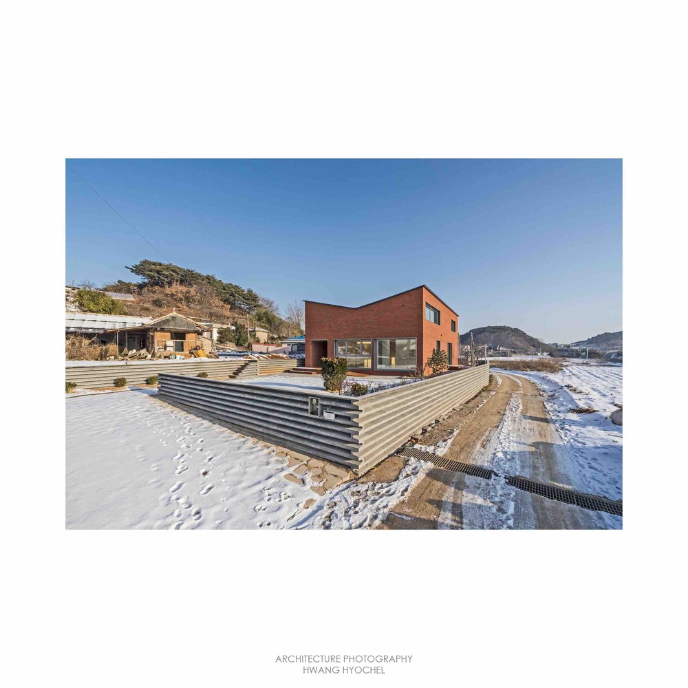 温暖阳光照亮受伤主人生活-58