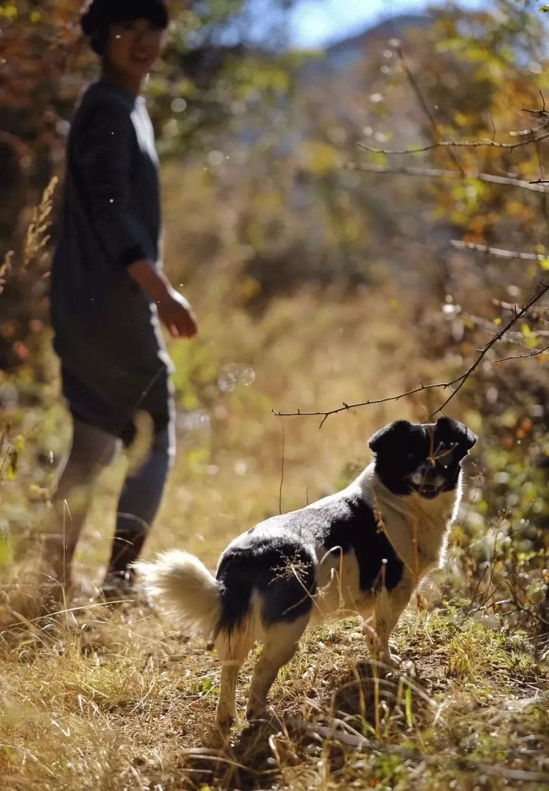 买不起房，小夫妻把牛棚改造成家，竟成300㎡大别墅还有150㎡花园菜地......-169