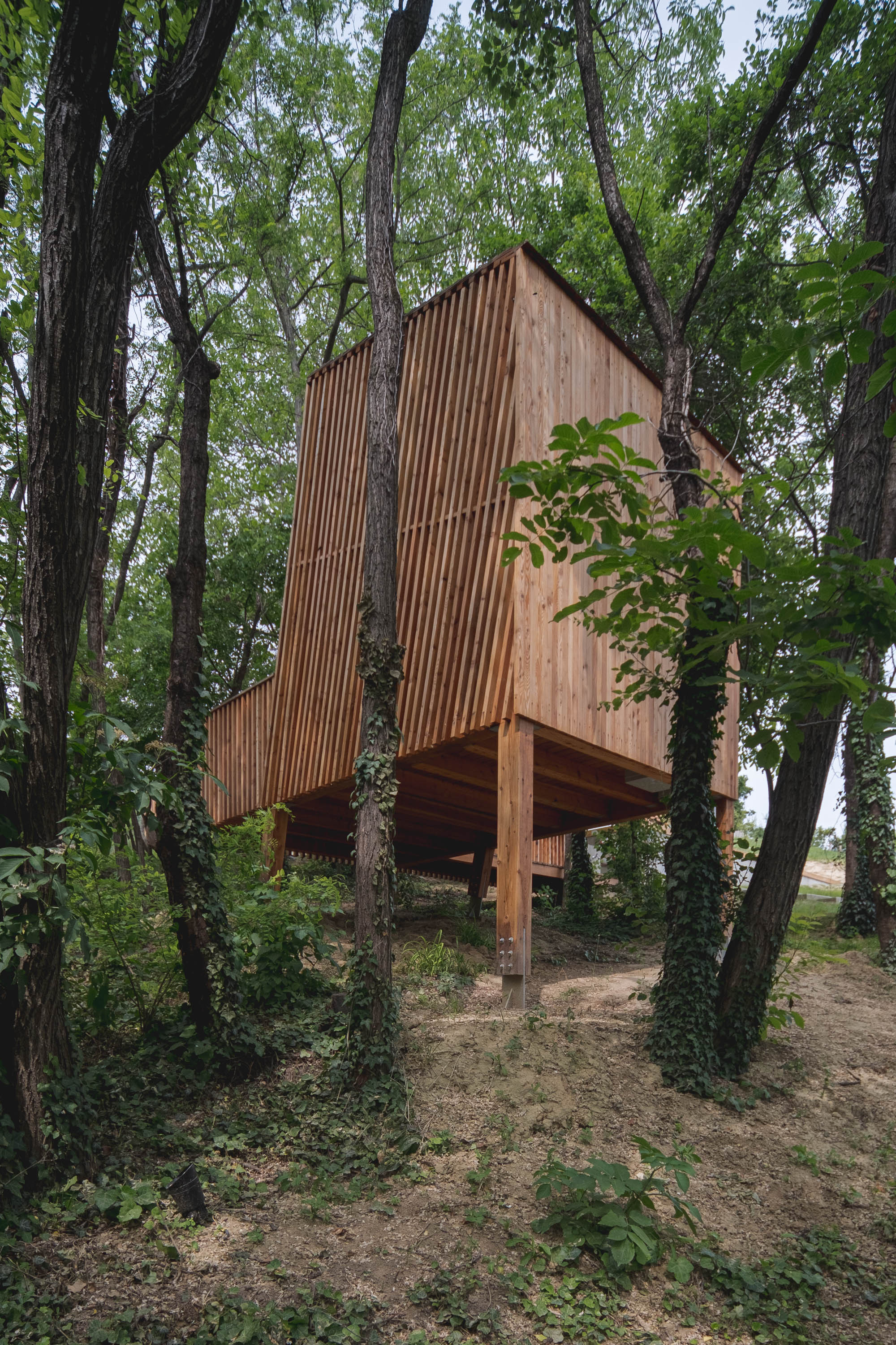 塞格德·罗奇丨匈牙利丨Építész Stúdió-67