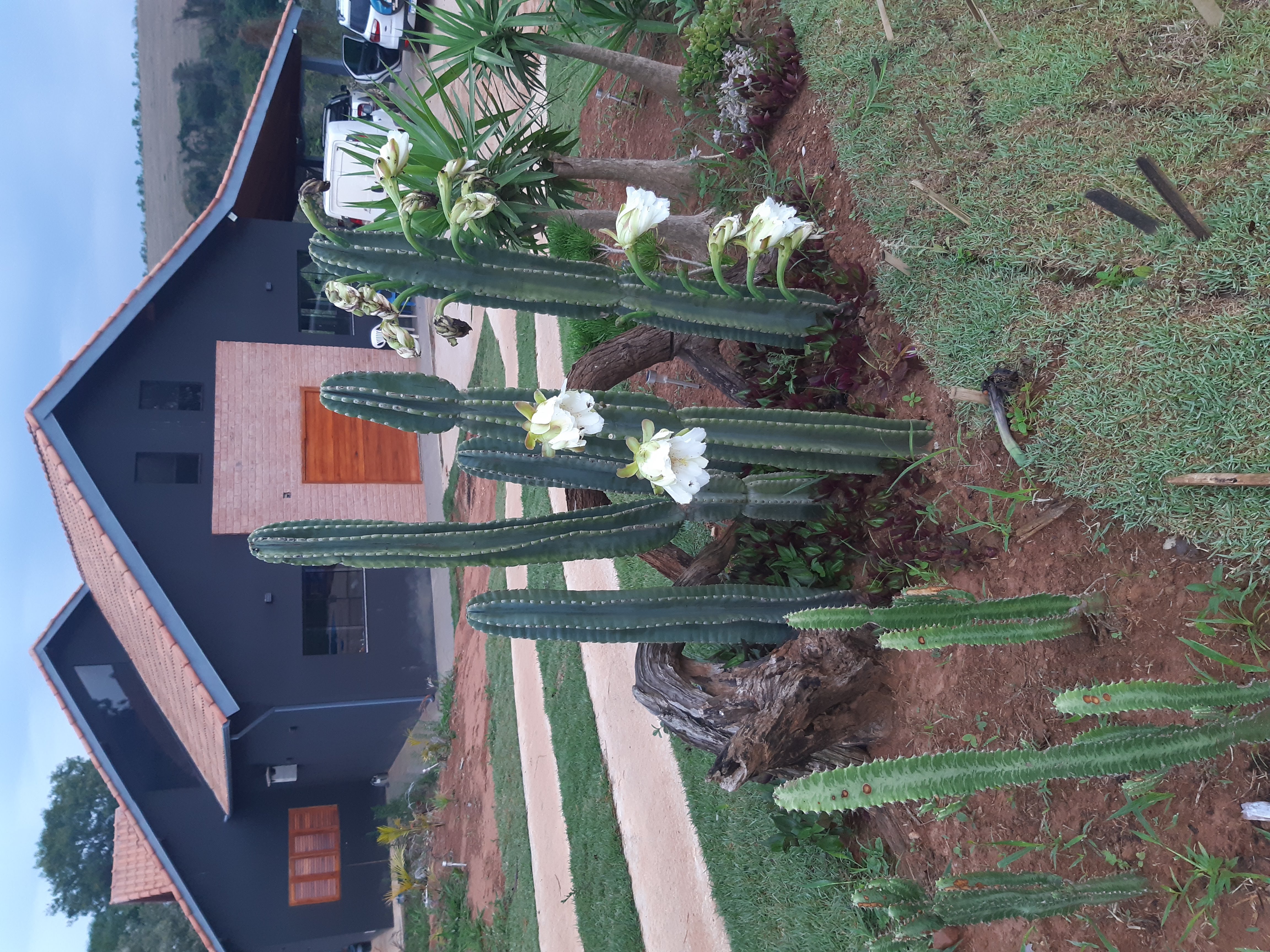 Projetos de Arquitetura de Saúde-0