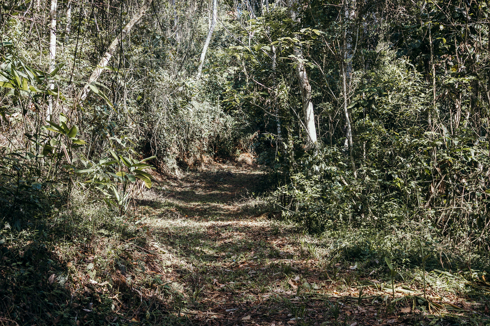 CMG 营地测绘丨委内瑞拉-31