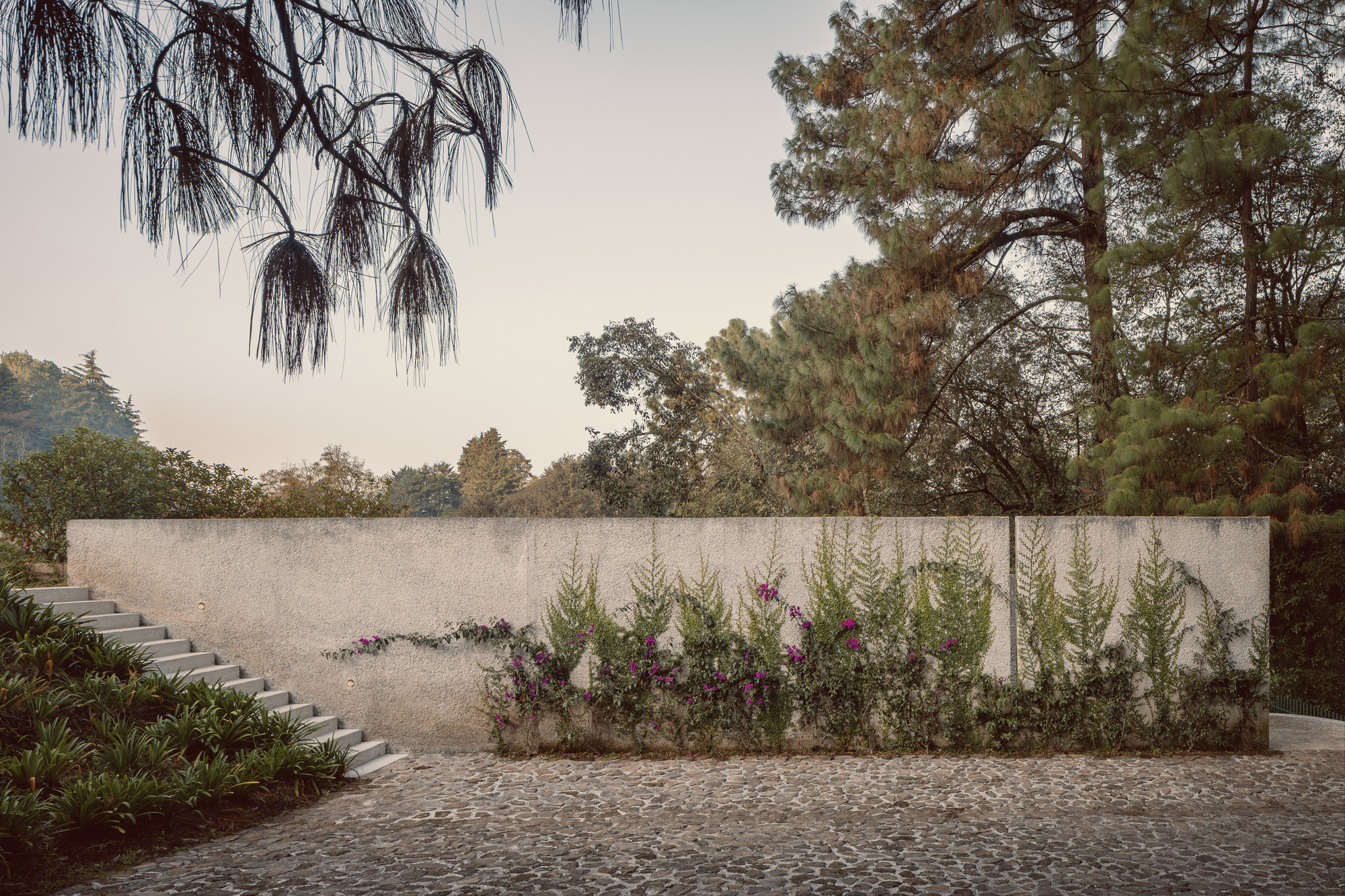 丨墨西哥丨Sebastián Mancera + Taller 3000-34