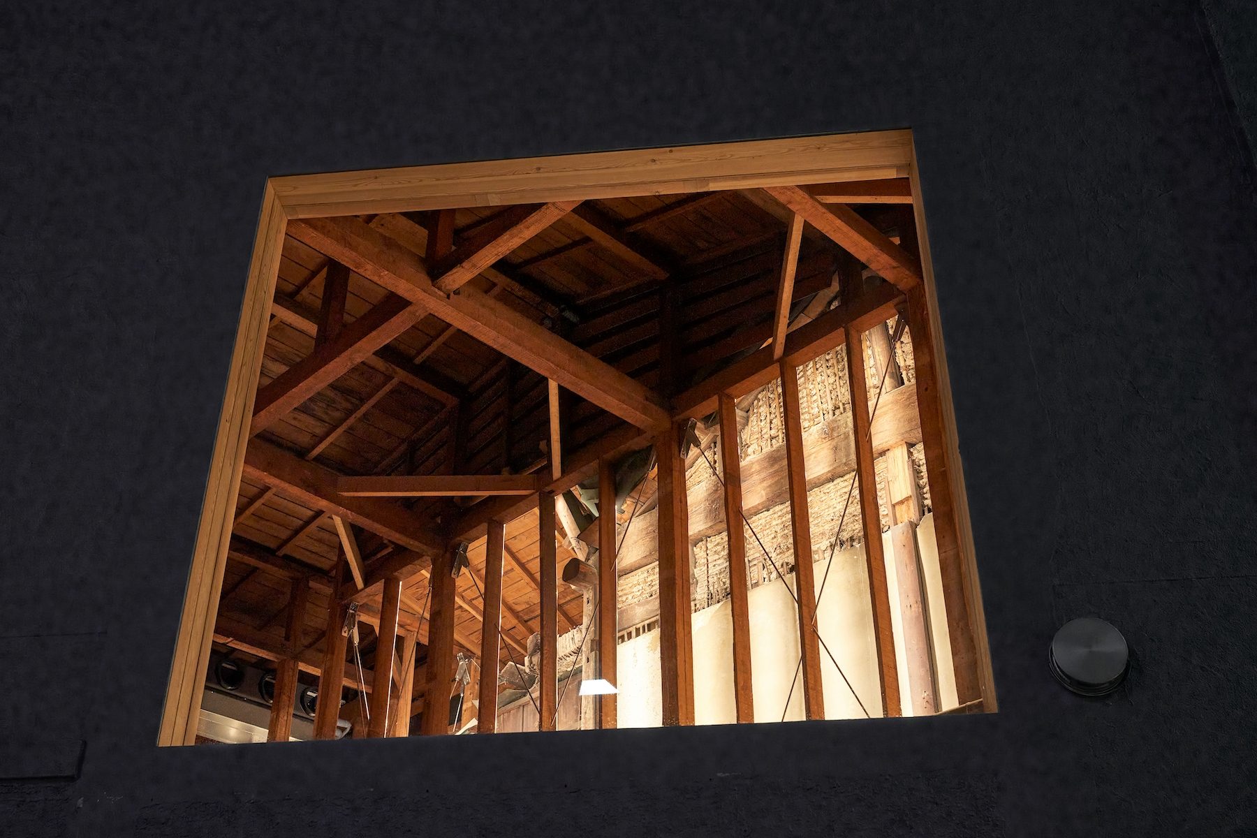 丨Jo Nagasaka,Schemata Architects-5