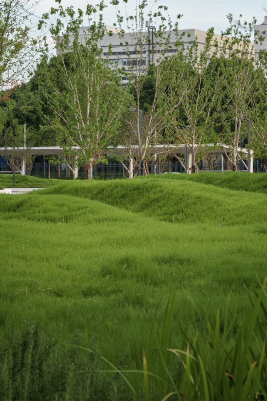 常州合全药业研发园区景观设计丨中国常州丨上海易栖建筑设计有限公司-30