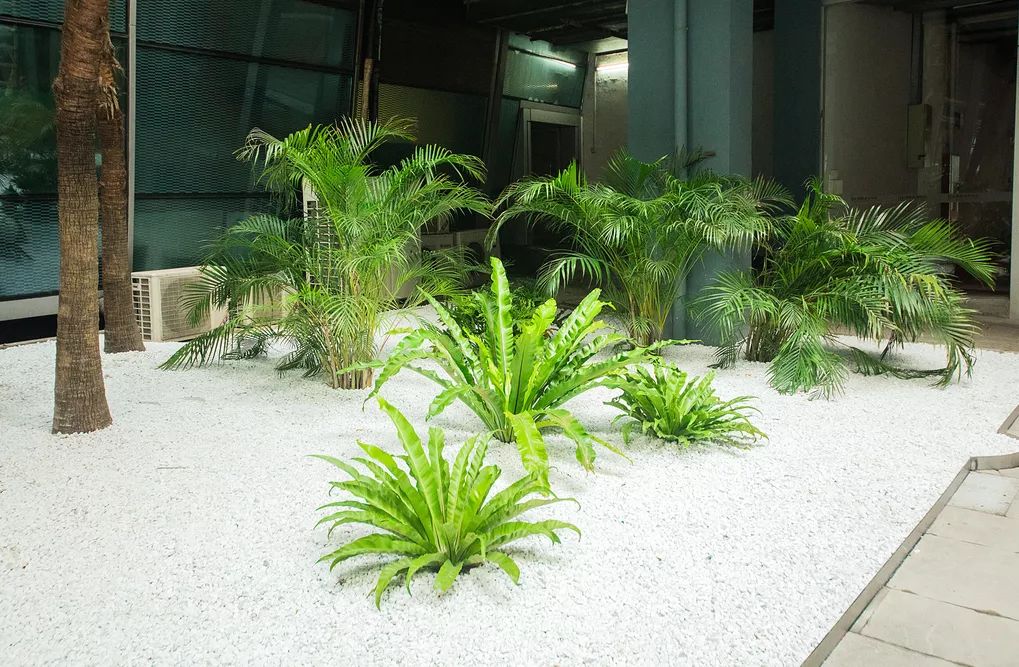 云山雅境,花园会议——广州白云国际会议中心-54