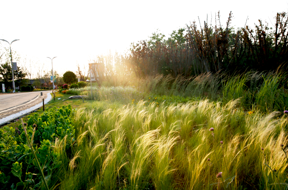 唐山园博园丨中国唐山丨北京正和恒基国际城市规划设计有限公司-30