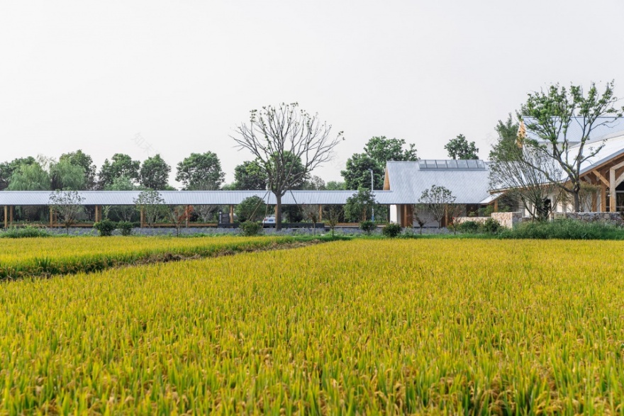 张马游客中心,上海 / 致正建筑工作室-18