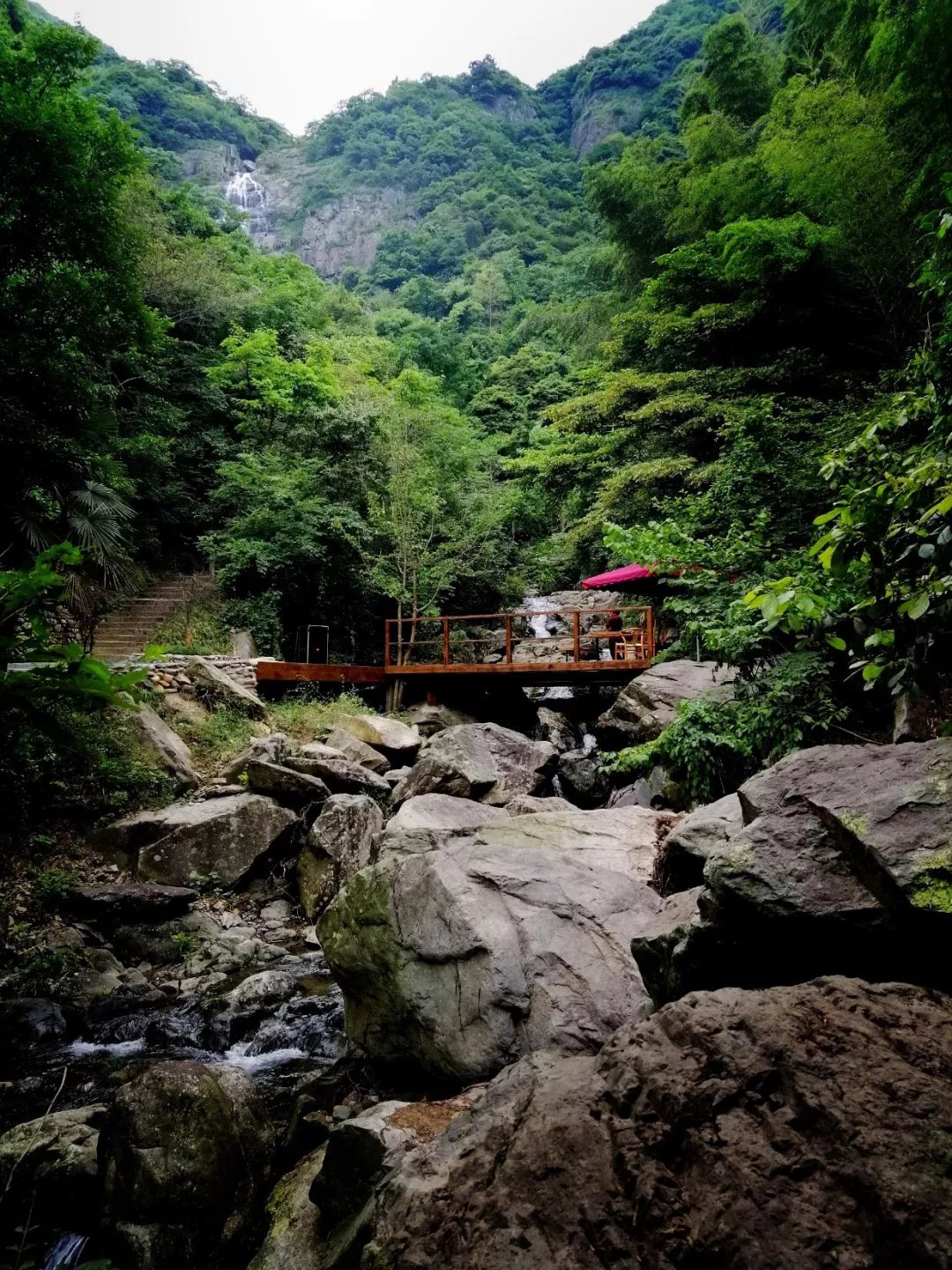 庐山桃花源景区名茶名泉节效果提升 | 打造茶禅一味的美景-62