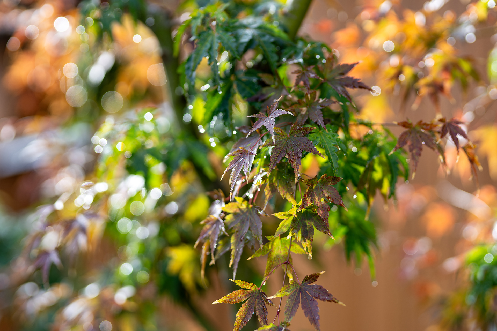 カネタ建設“kinoieモデルハウス”丨カネタ建設,建築家趙海光-181