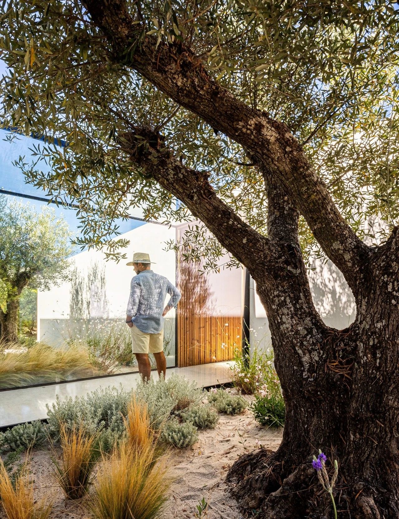 海滨别墅丨dEMM arquitectura-17