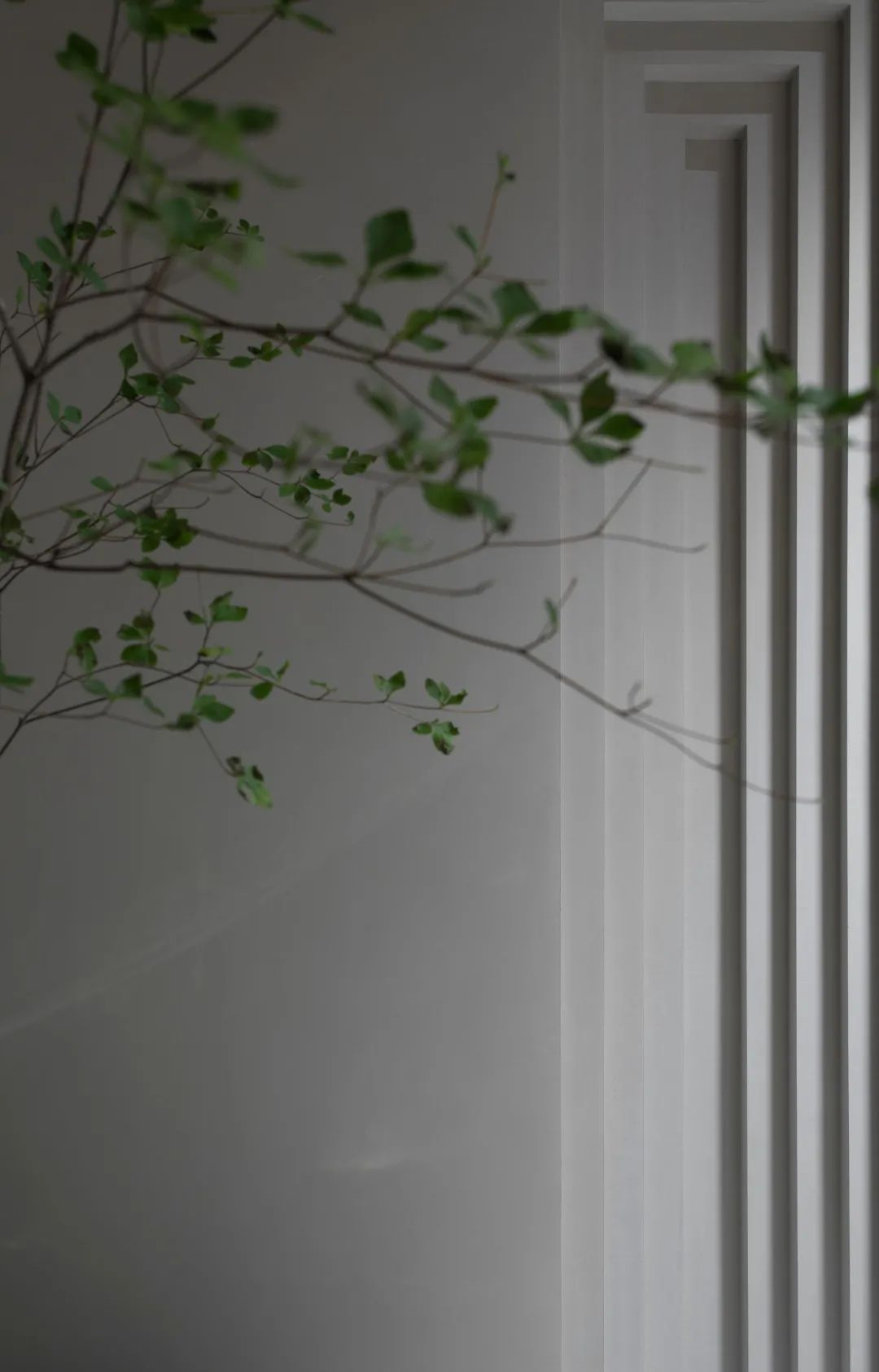 福建建瓯原木展厅丨中国福建丨墨然设计-42