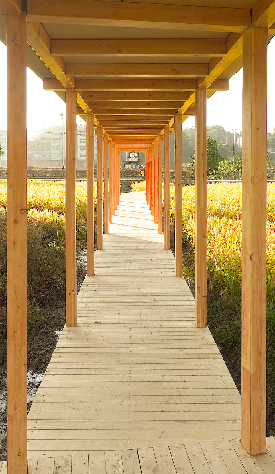 青石寨的稻亭和稻场,福建 / 个个世界+先进建筑实验室-95