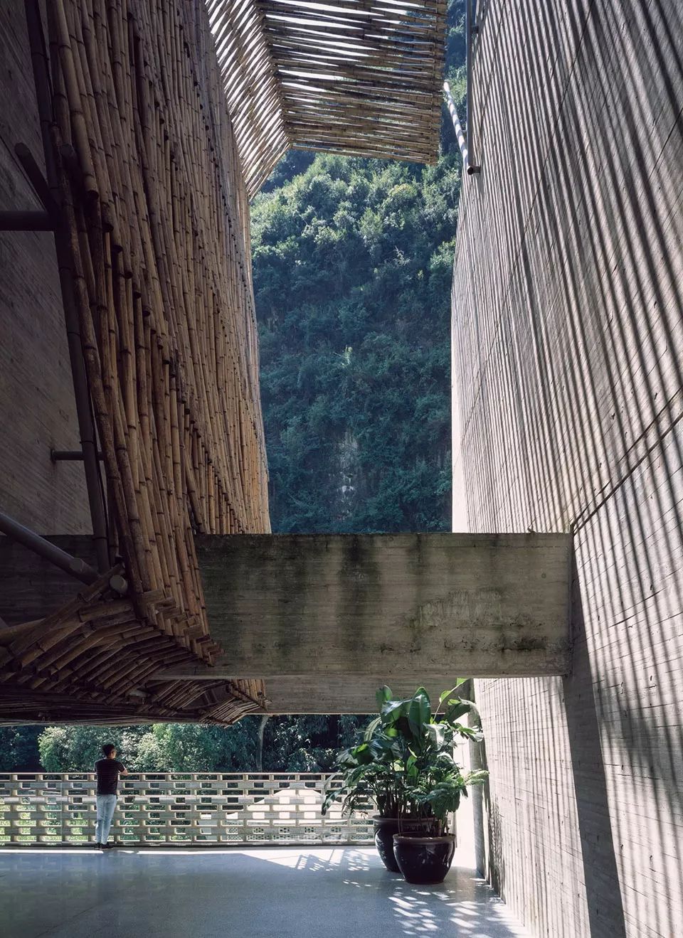 8个经典老建筑改造:老厂房、祖宅、乡村小学、空心村...
-19