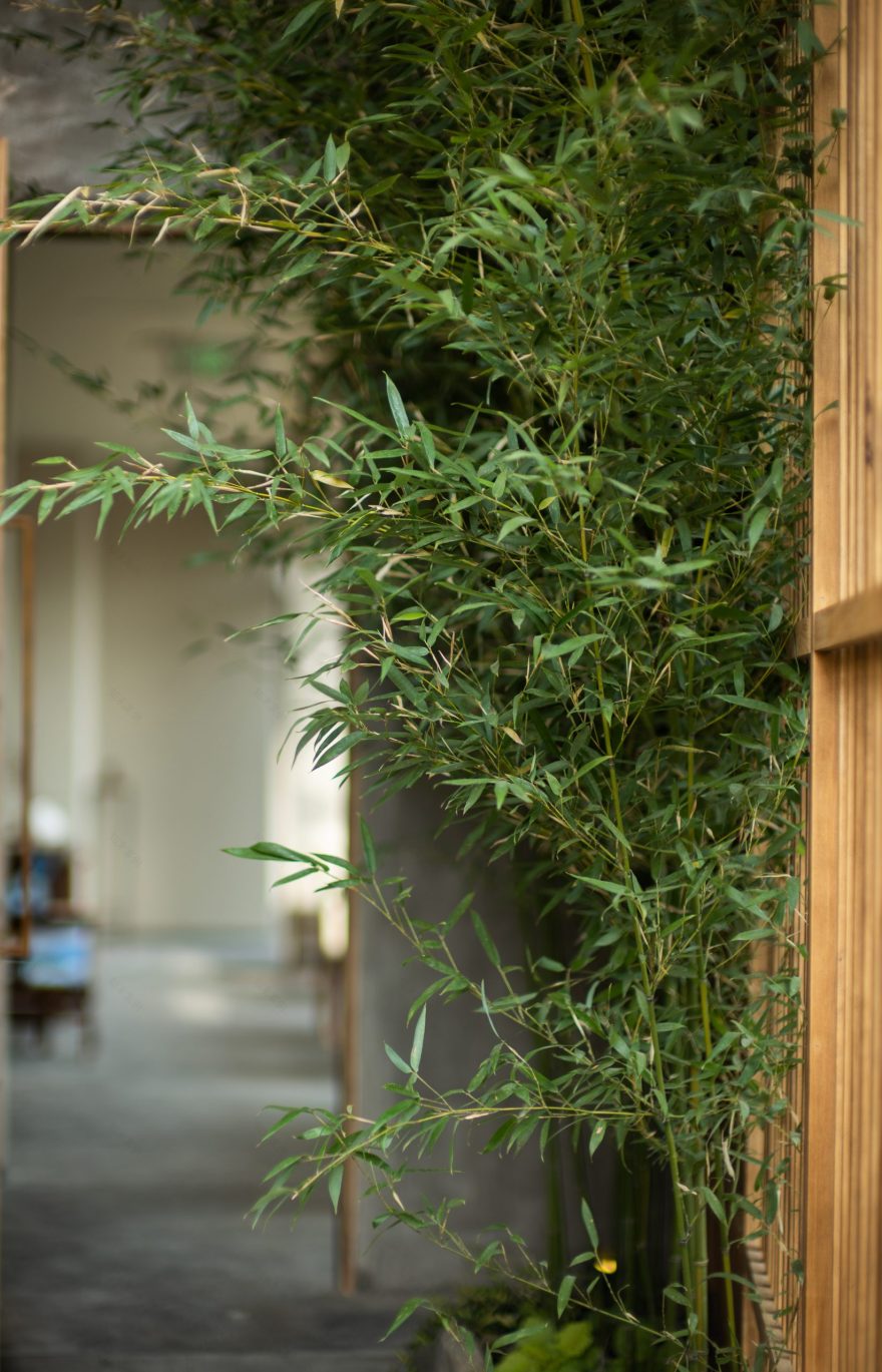 元古本店(北京太古里北区)-45