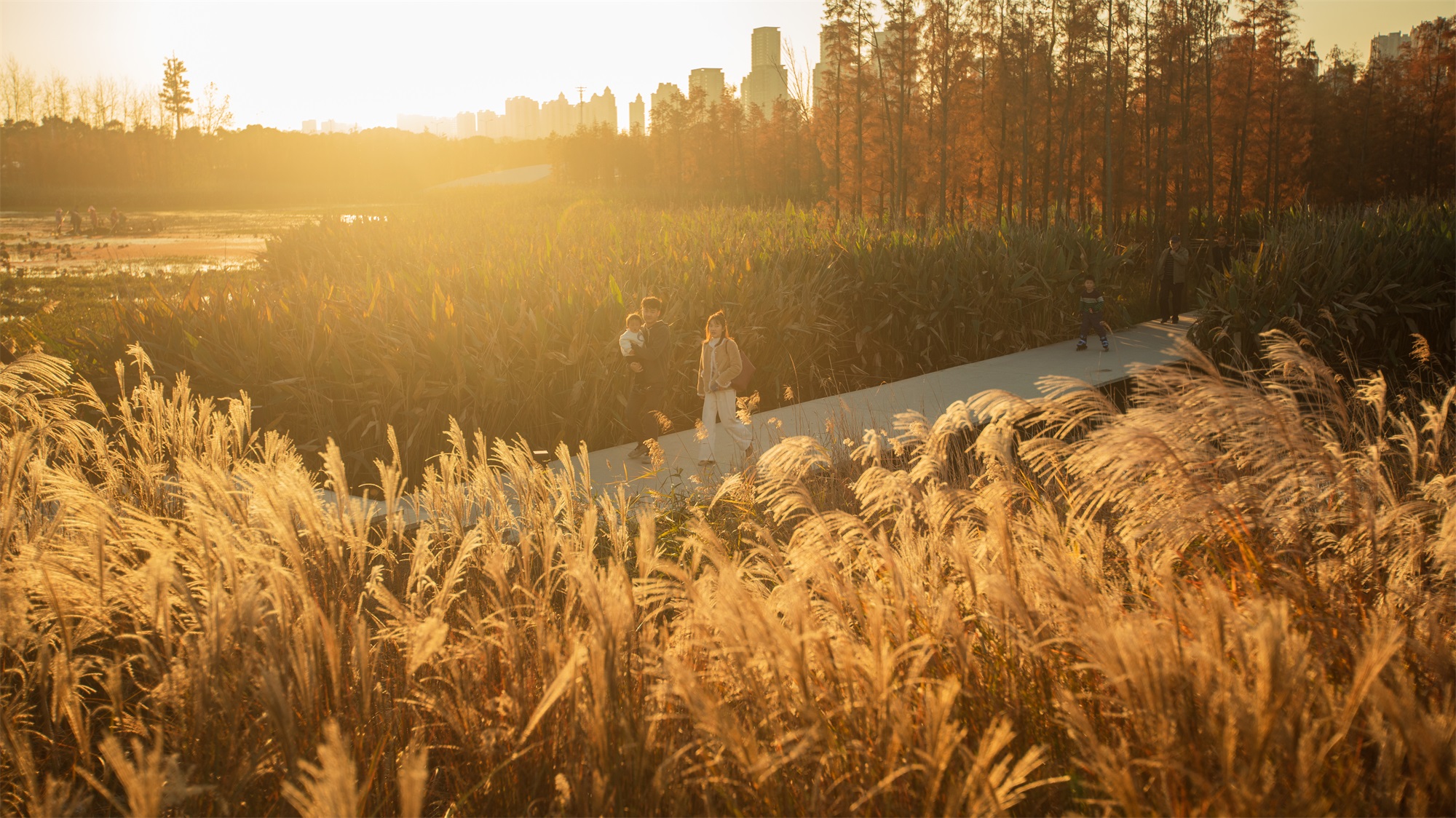 西安雁南公园（二期）丨中国西安丨土人设计（Turenscape）-142