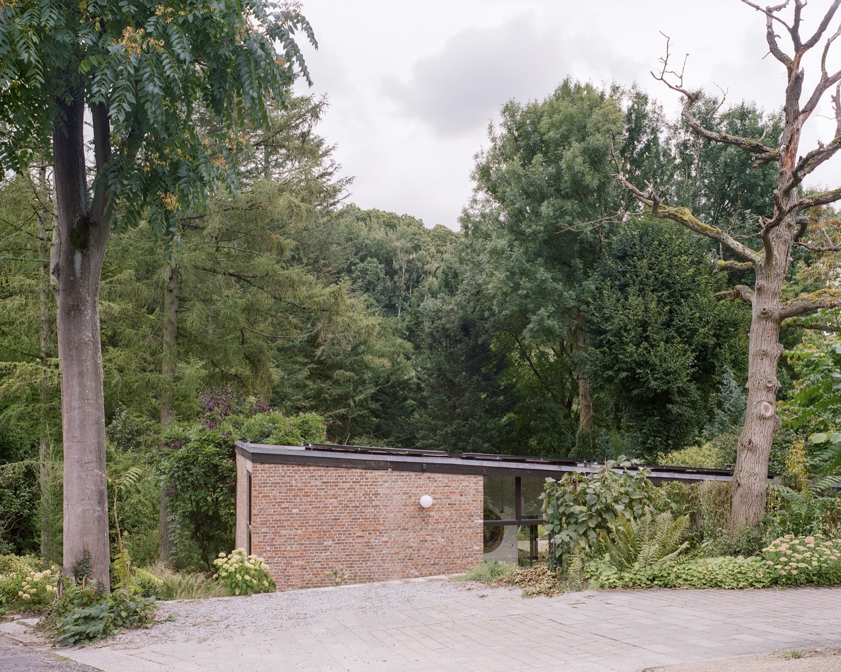 Kelleveld 住宅改造丨比利时丨Mamout architectes-3