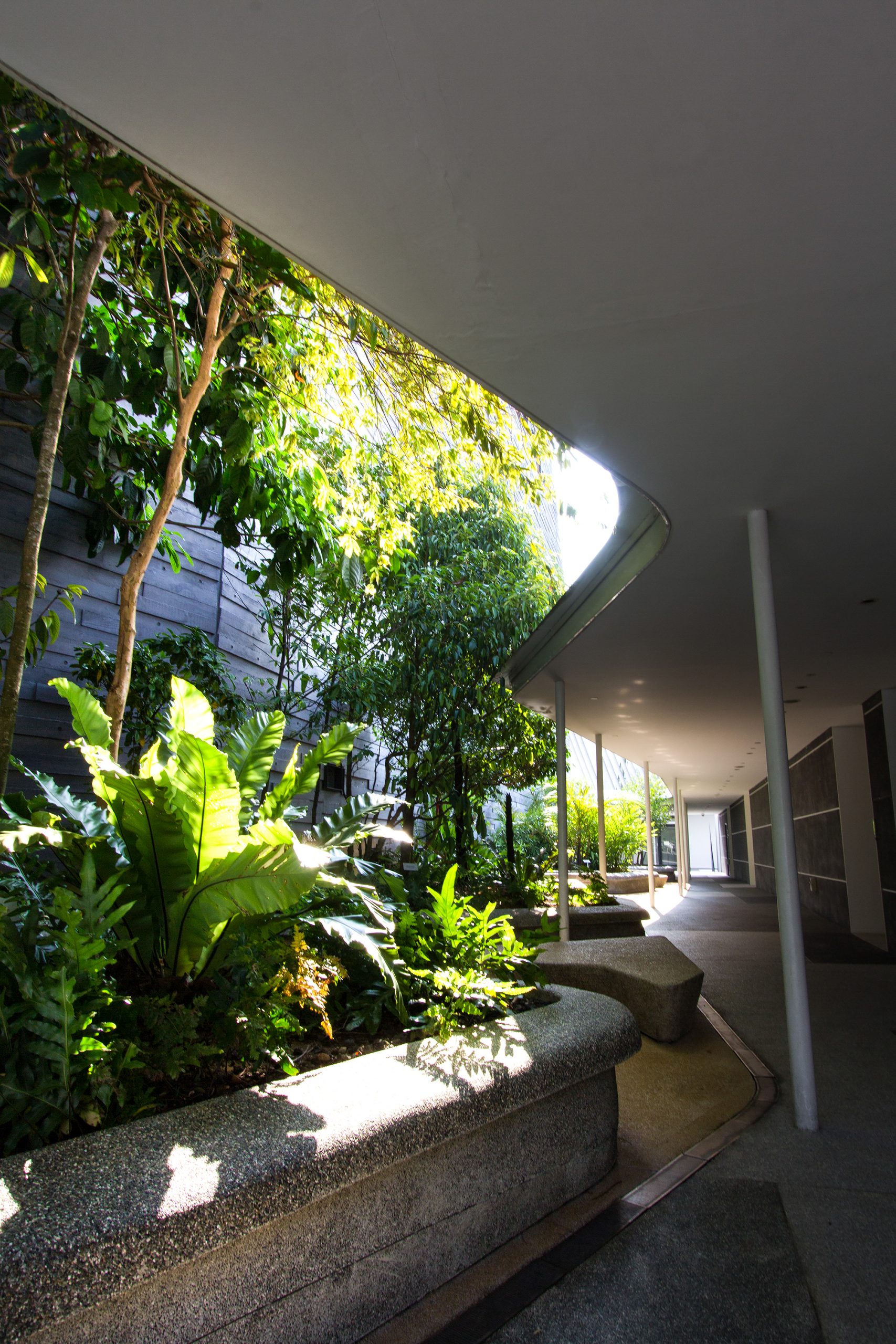 李光前自然历史博物馆丨新加坡丨Tierra Design (S) Pte Ltd-17