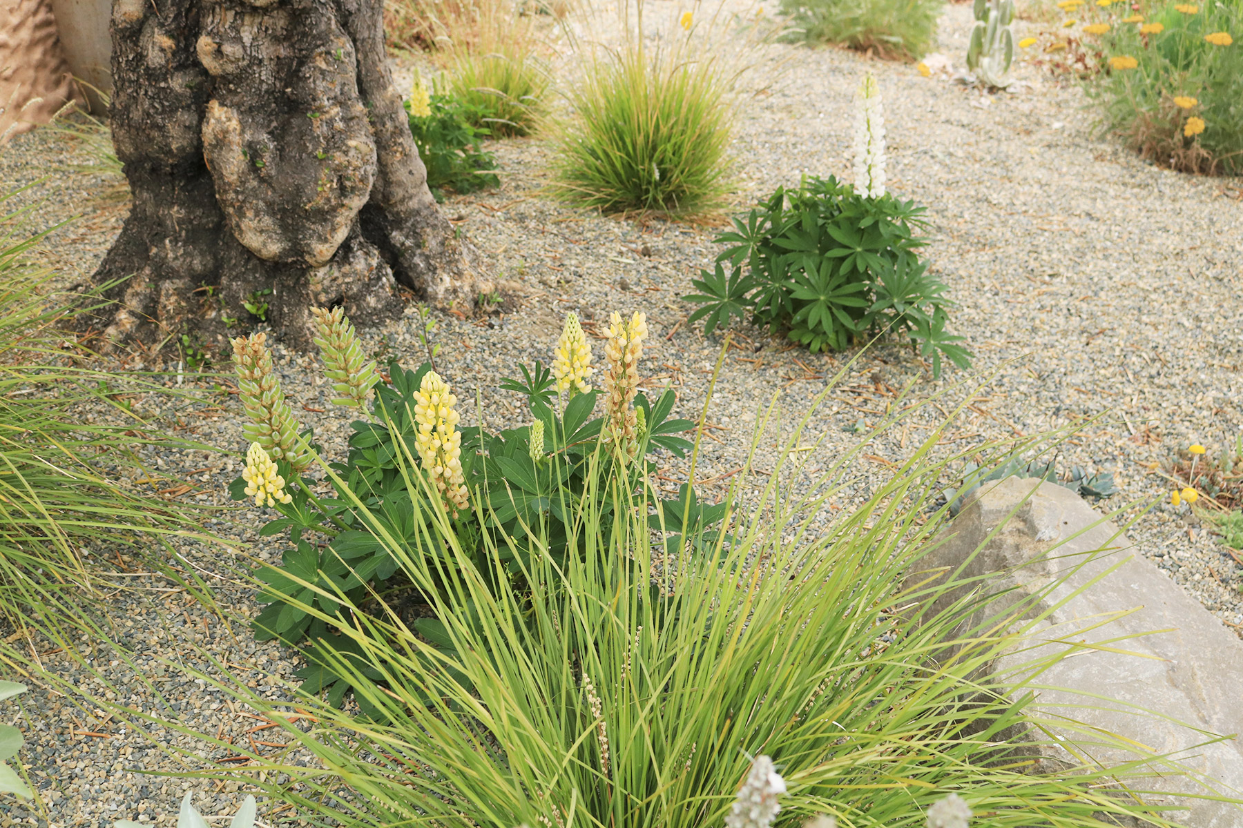 身边风景 | Soft Studio-105