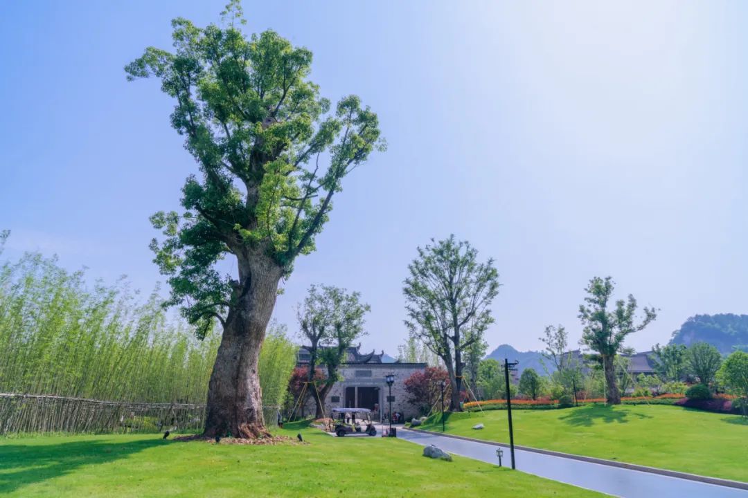 上饶悦麓开元观堂 | 古徽州文化与现代度假的完美融合-54