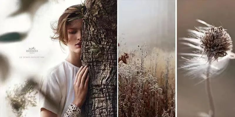 春翠里 138 户型·如愿丨中国湖州丨设计传-1