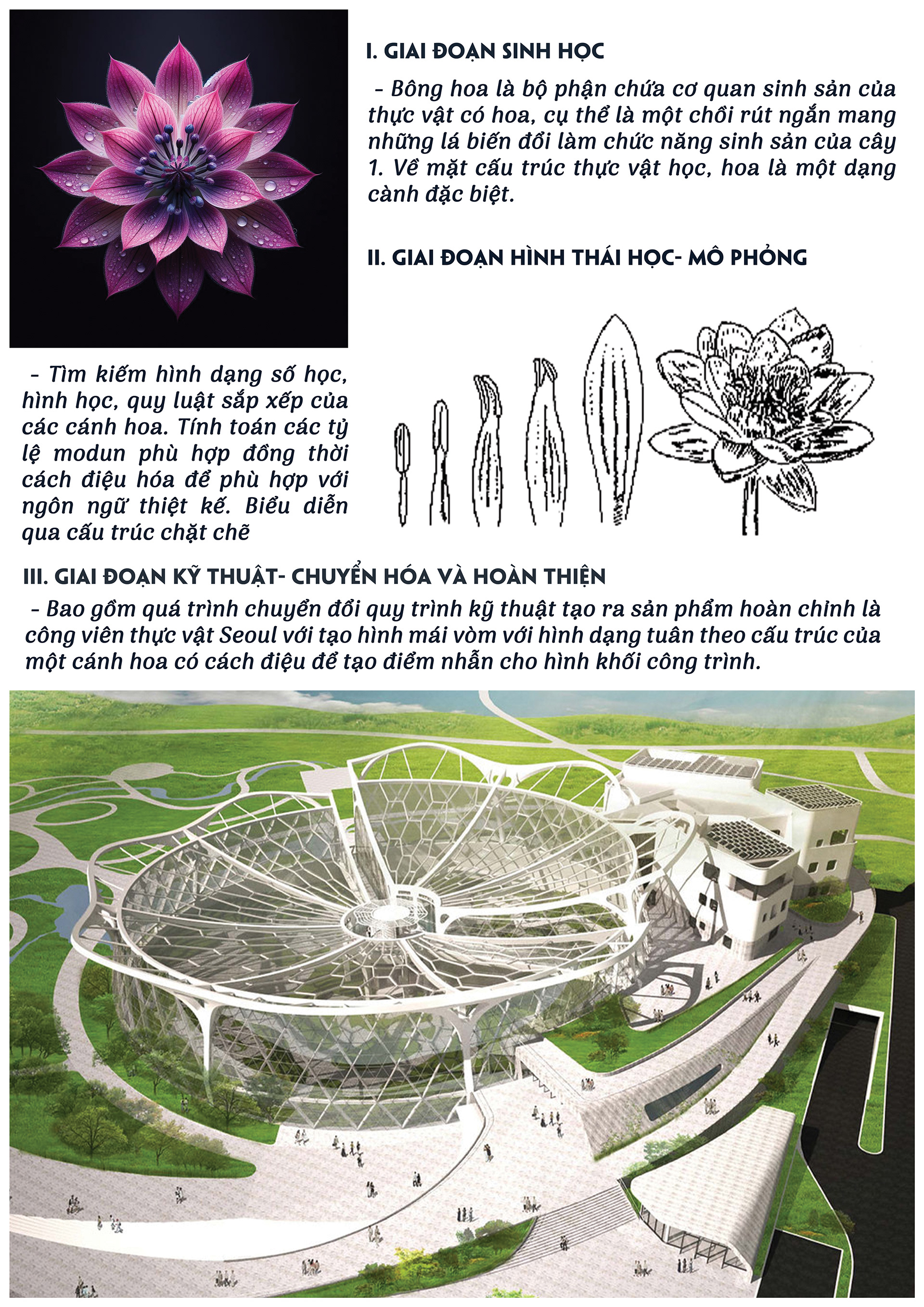 CẤU TẠO KIẾN TRÚC 2: NGHIÊN CỨU BIOMIMETIC ARCHITECTURE-11