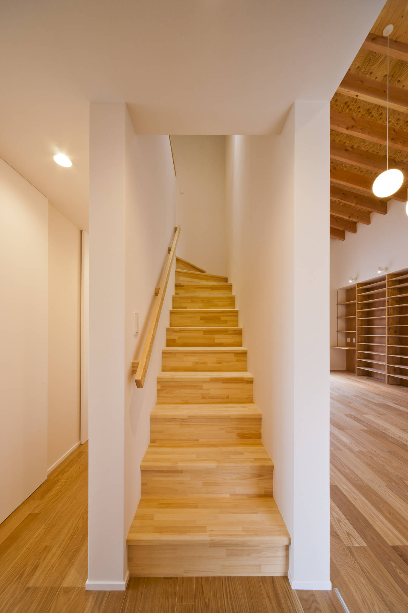 Totoro（托托罗）-18