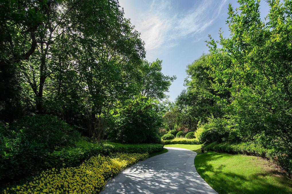 大明宫的“御花园” | 西安中铁建西派国际（大区）-90