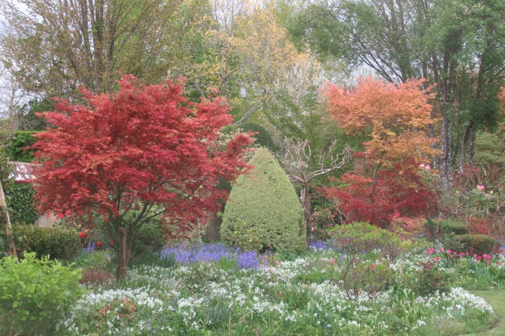 Jardin Botanique de La Petite Rochelle (61)-4