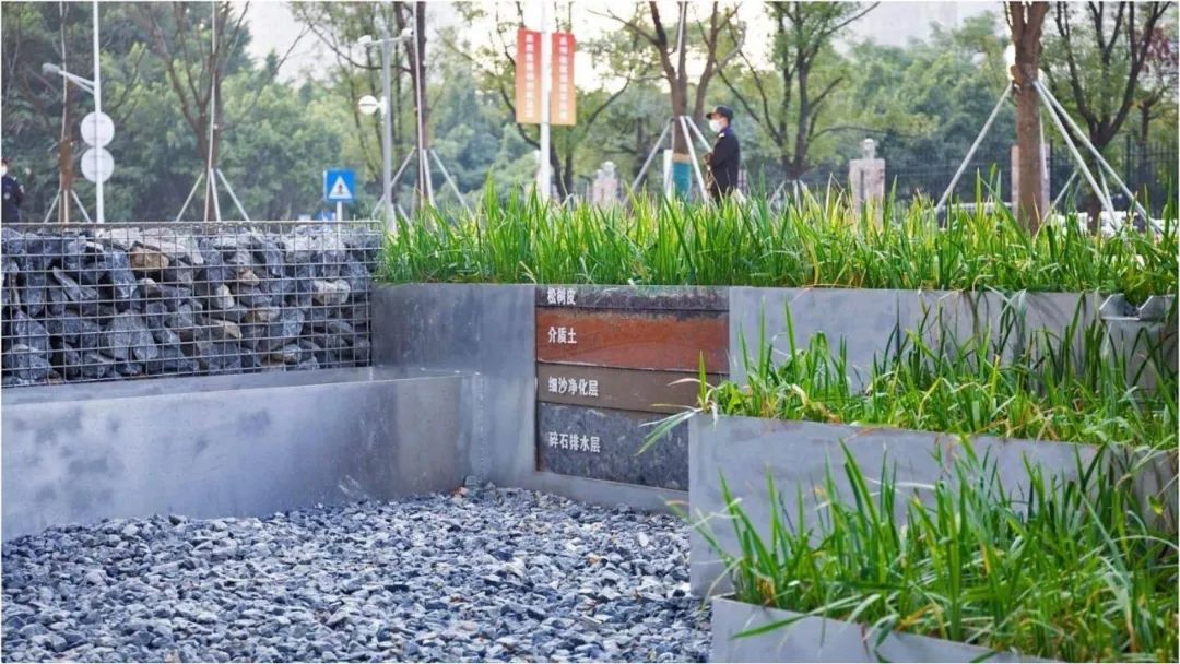 当海绵遇上艺术｜深圳光明文化艺术中心-135