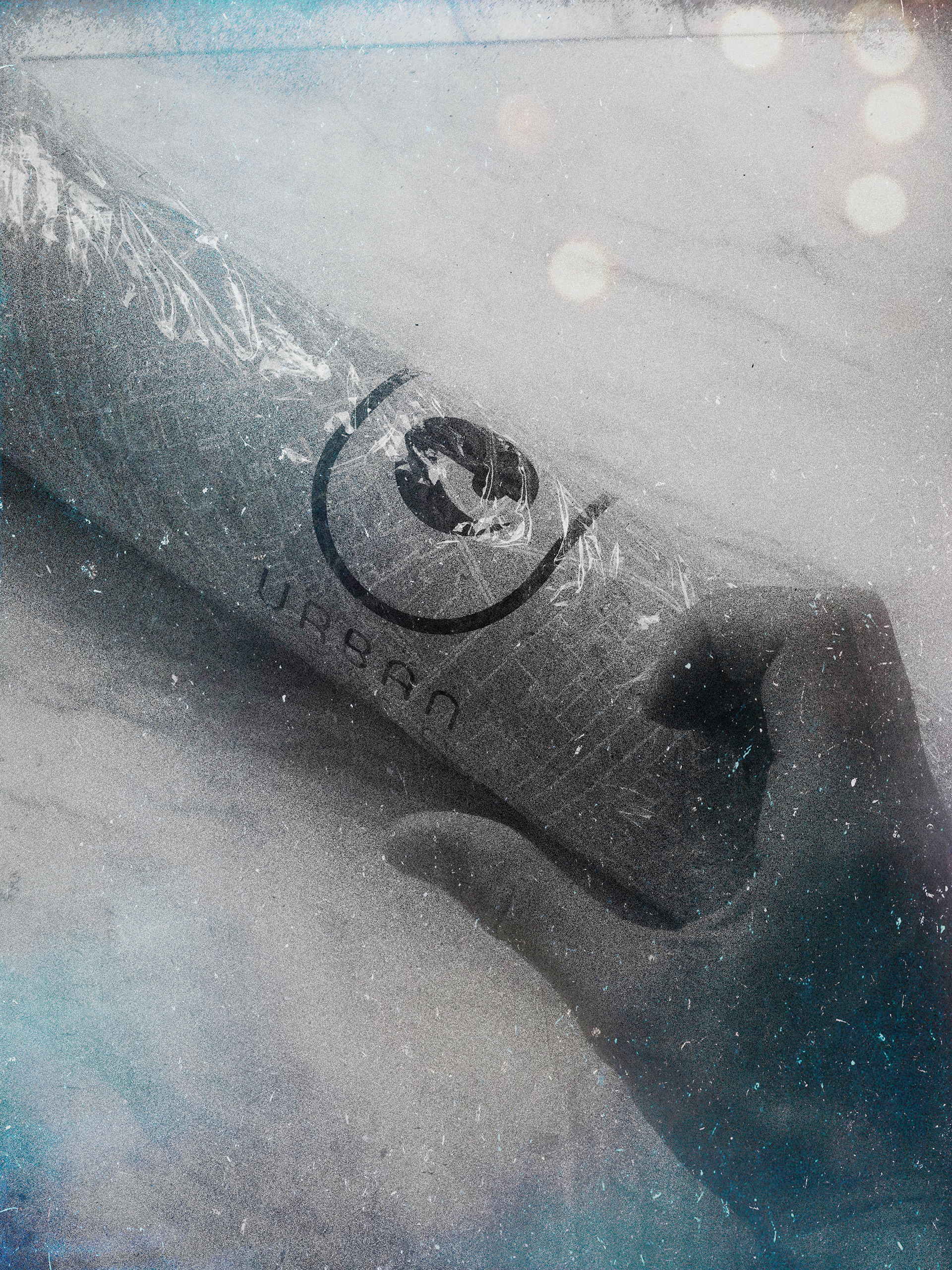 Reconstruction of the public garden-11