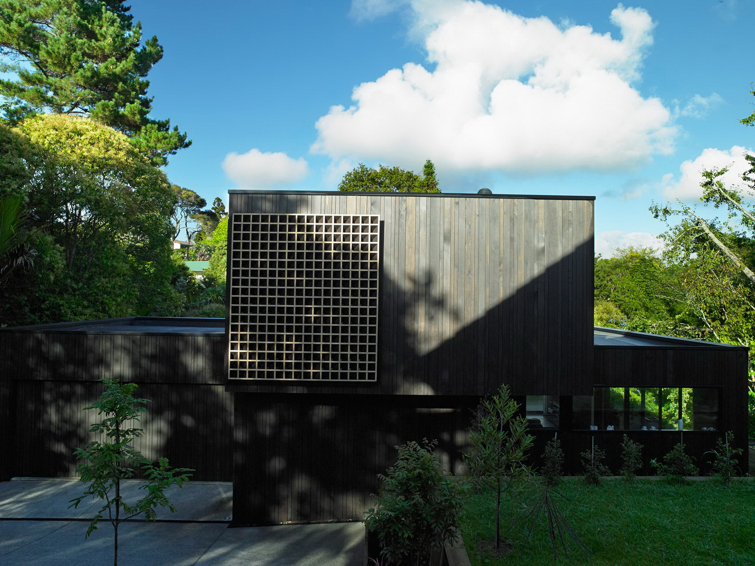 新西兰森林中的木制住宅-18