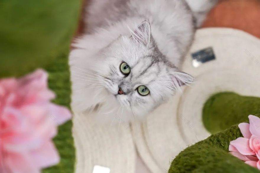 苏州信创上坤望湖四季潮玩乌托邦售楼中心-26