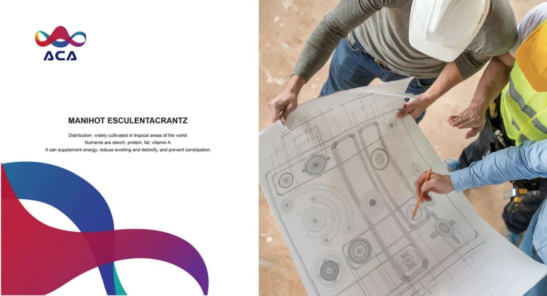 【非洲木薯联盟ACA】视觉形象设计-39