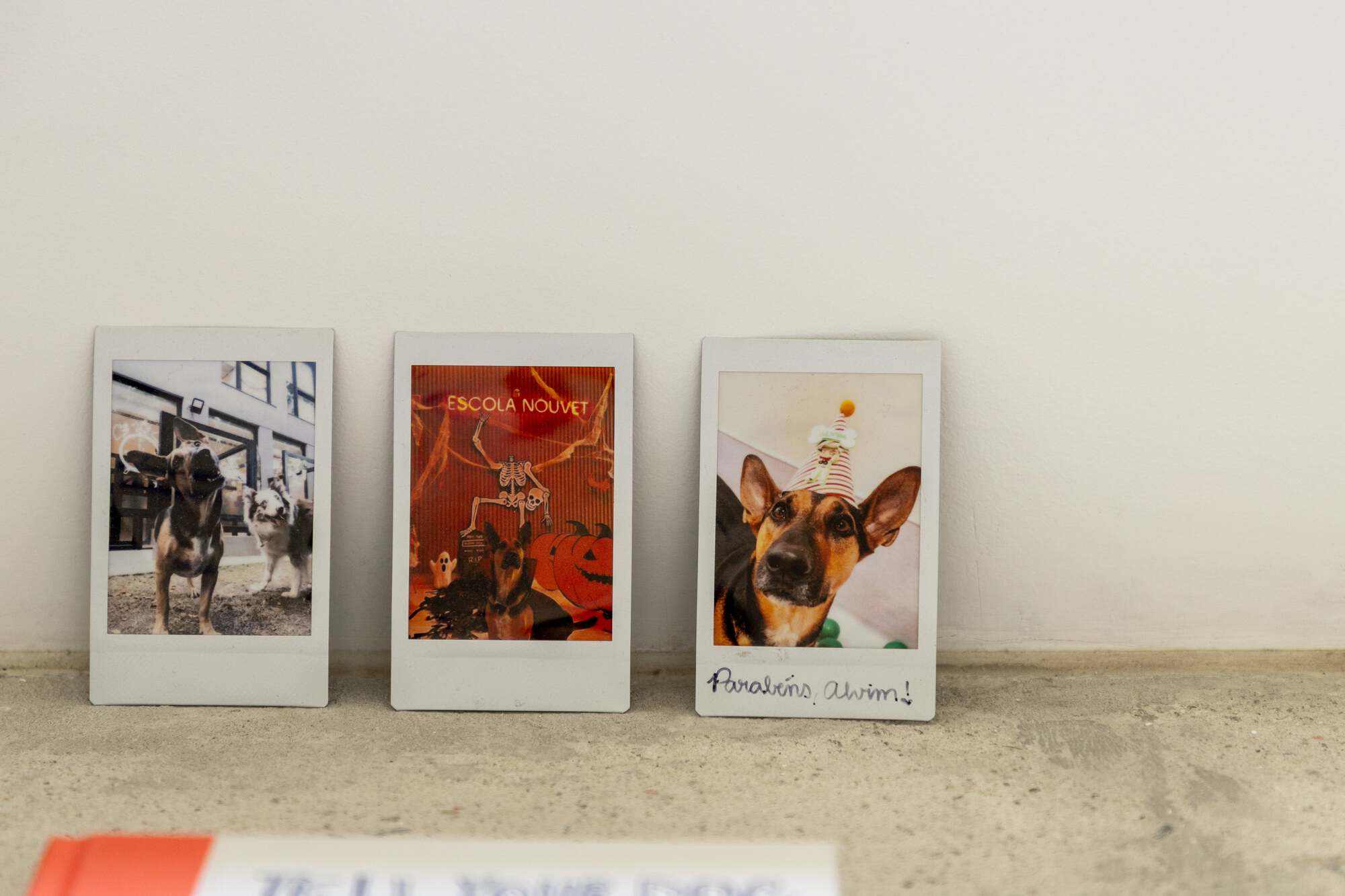 森林公寓丨巴西圣保罗丨Balaio Arquitetura-36