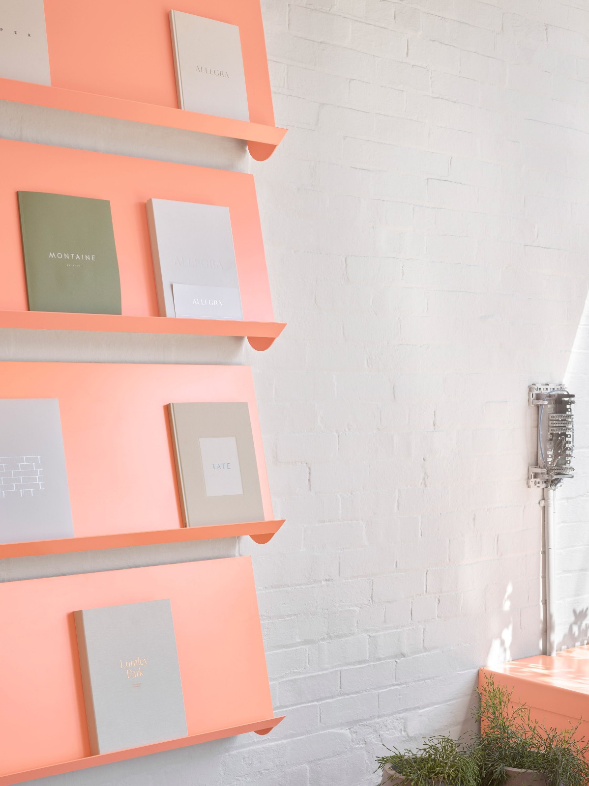 BoardGrove使用三种色调的桃色，定义墨尔本这一共享空间内的不同区域-0