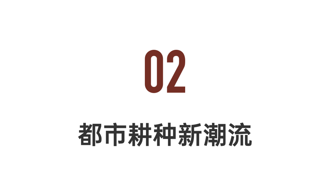 香港KFarm · 高科技农场的绿色奇迹丨中国香港丨陈启豪等-80