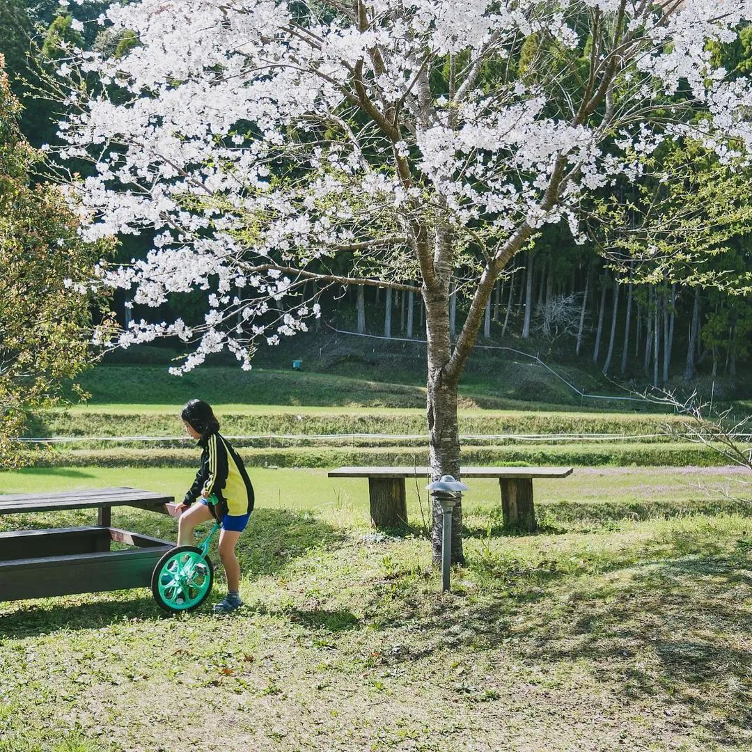 鹿儿岛乡间木屋丨日本鹿儿岛丨Kagae-115