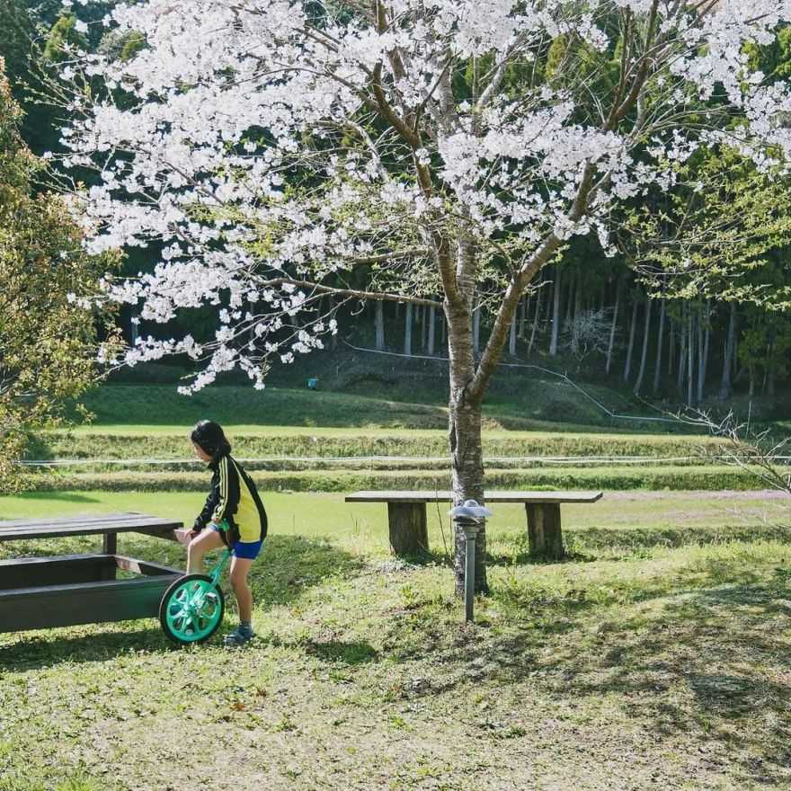 鹿儿岛乡间木屋丨日本鹿儿岛丨Kagae-115