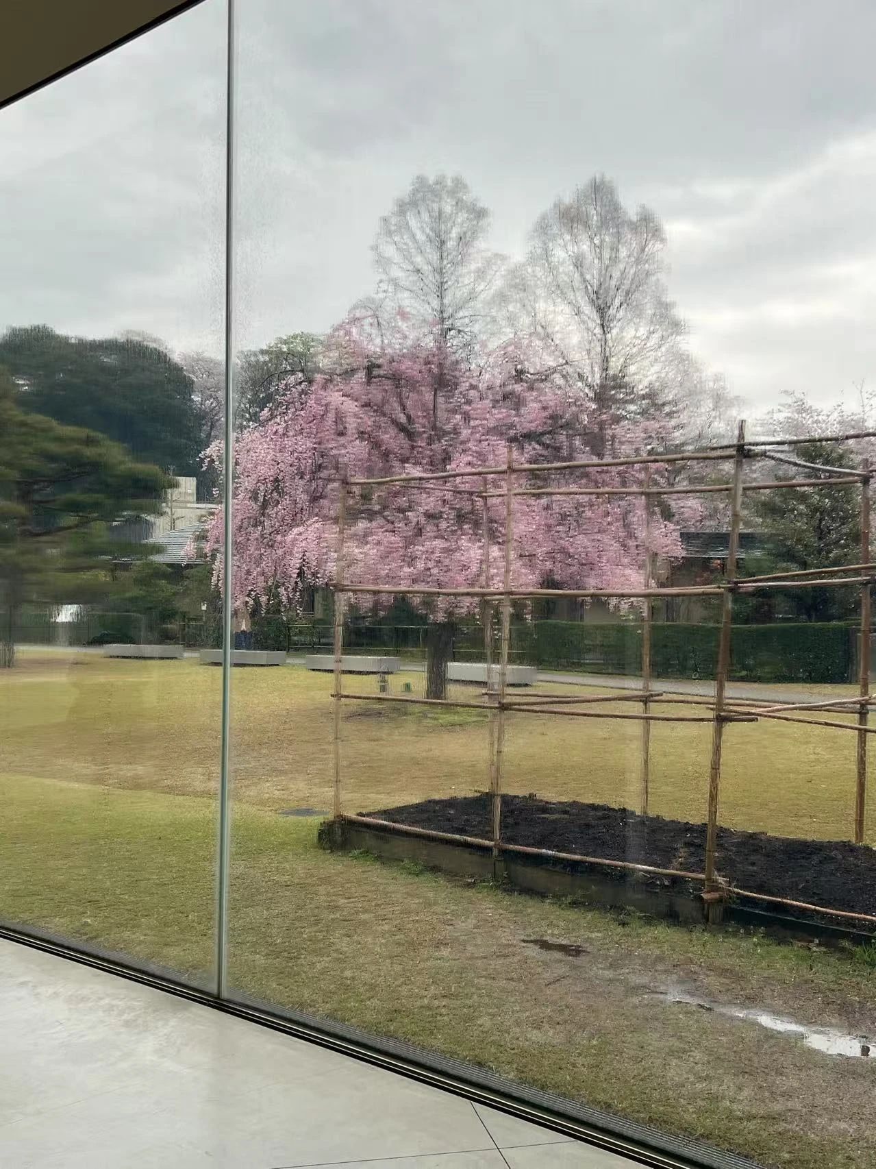 谷口吉郎·吉生纪念 金泽建筑馆丨日本丨谷口吉生-334