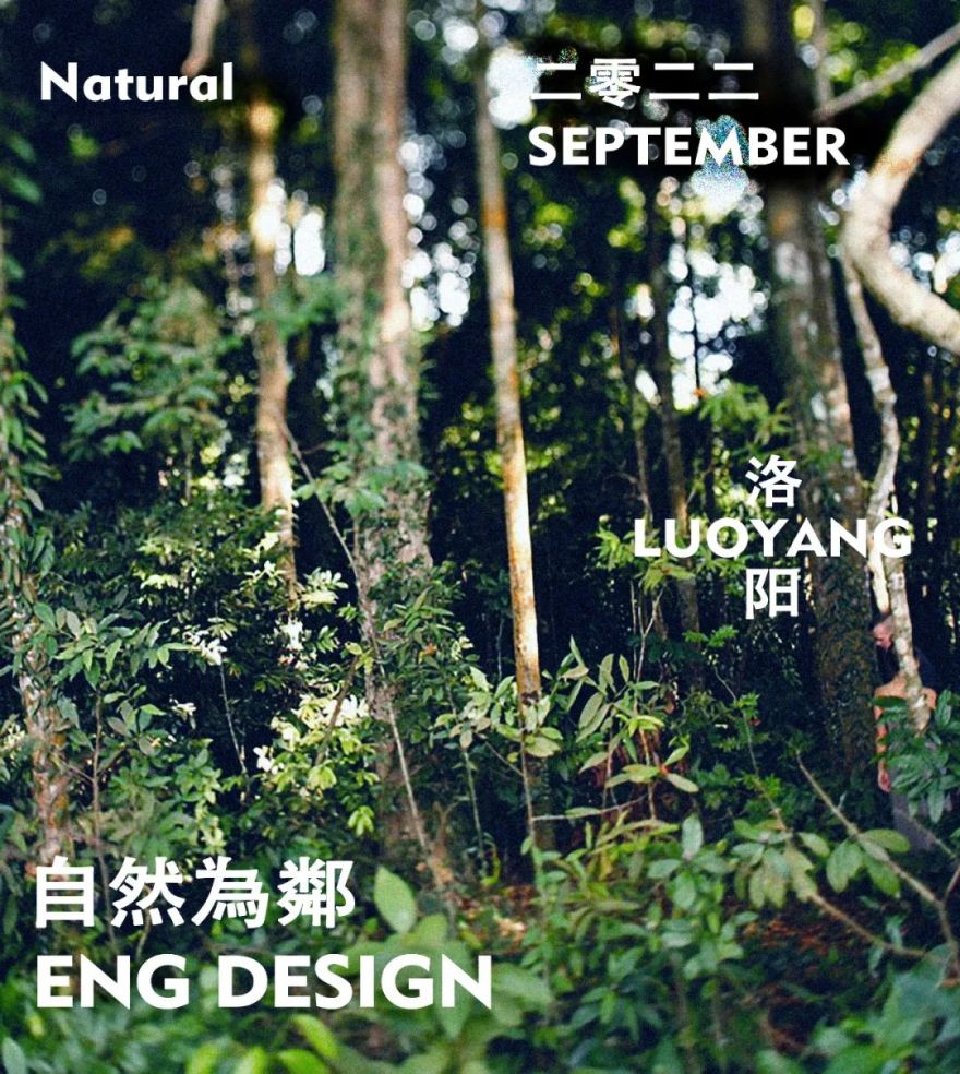 宸阅样板间丨中国洛阳丨引擎联合设计-1