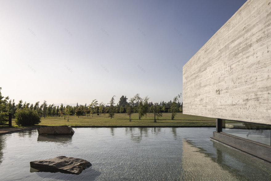 丨智利丨Nicolas Vicente-24