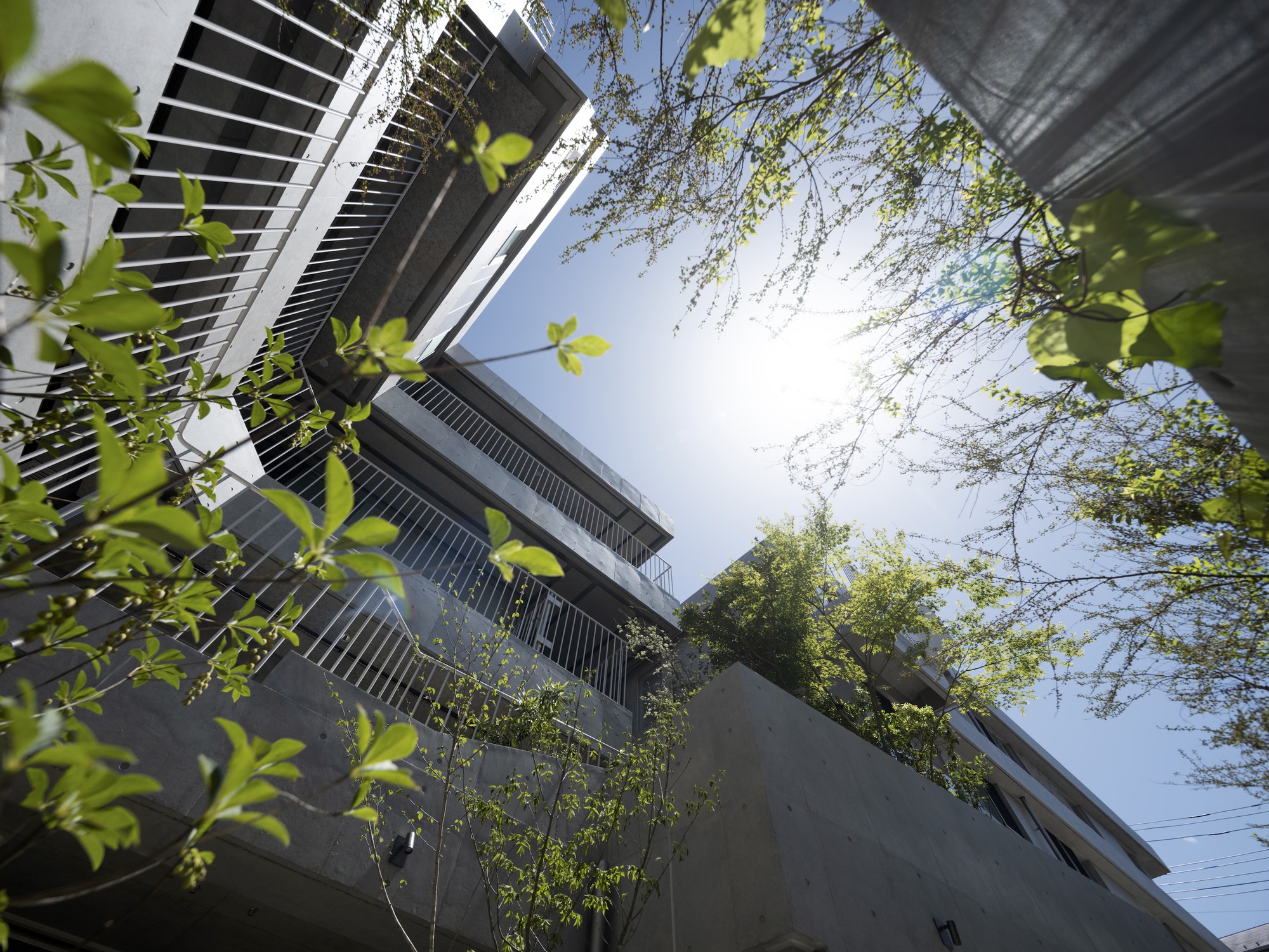 CHIDORI TERRACE 合作住宅综合体丨日本-42