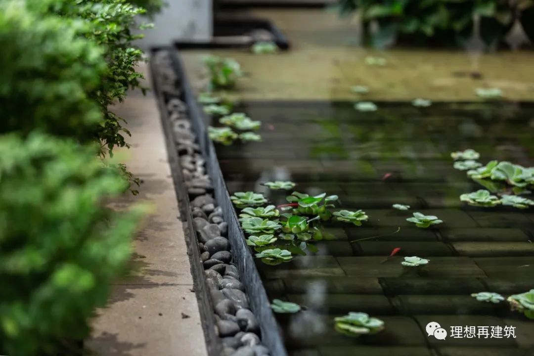 湖畔幽香,品味时光——合肥滨湖金融港 A8 精品私厨设计-11