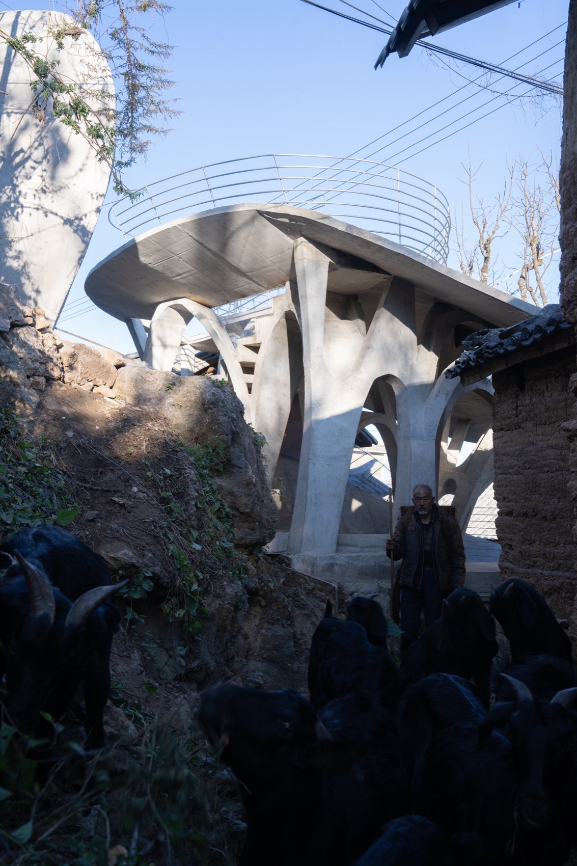 蘑菇蘑菇儿童书屋丨中国大理丨孔祥伟工作室-120