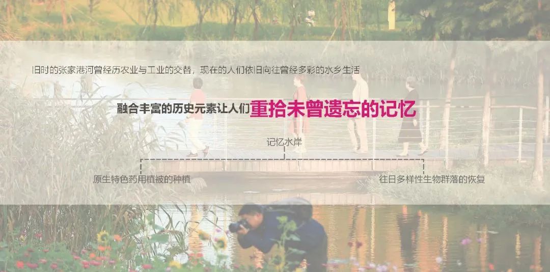 张家港河生态廊道设计丨中国江苏-50