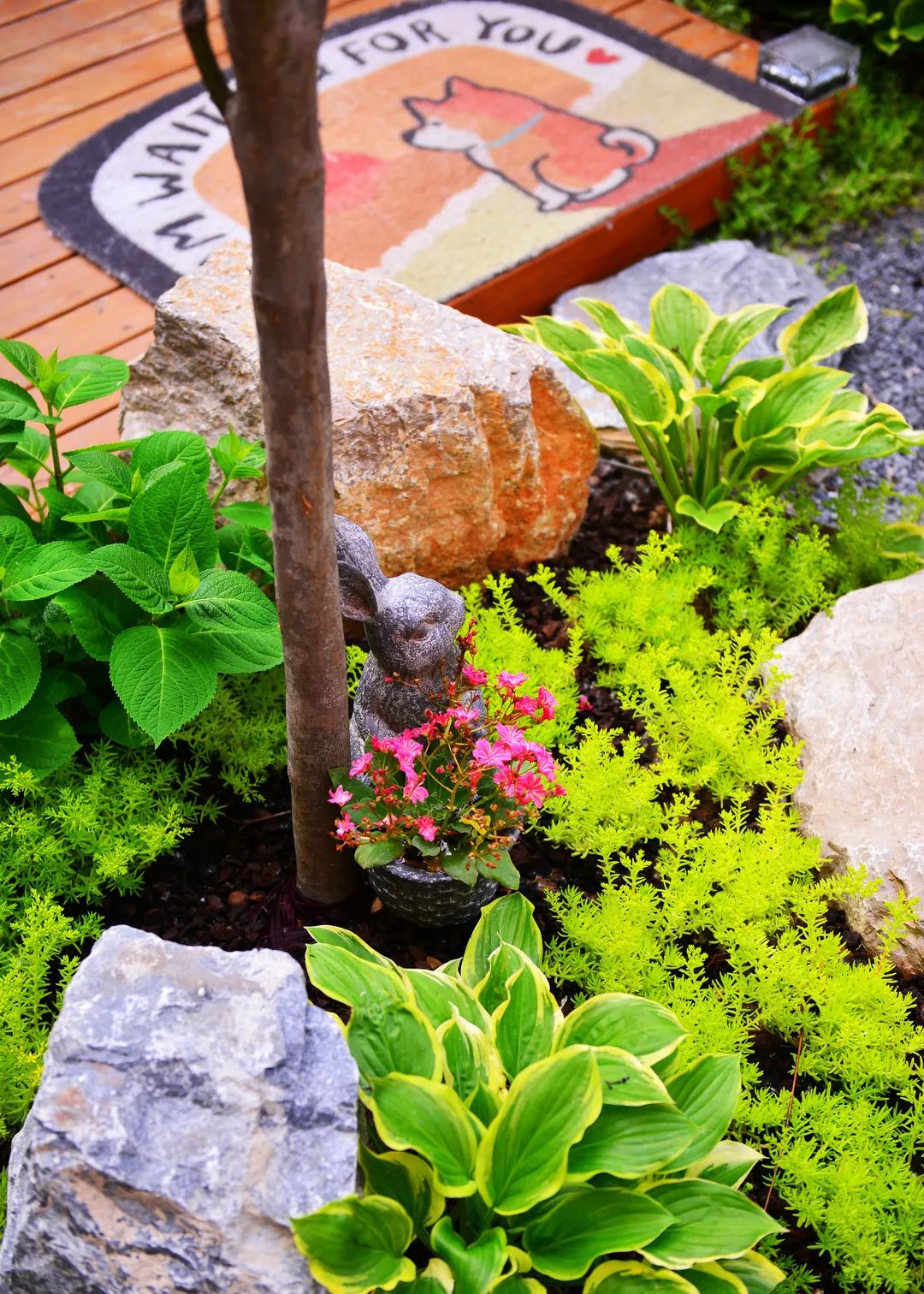 打造独特私家花园，体验简约宁静之美-34