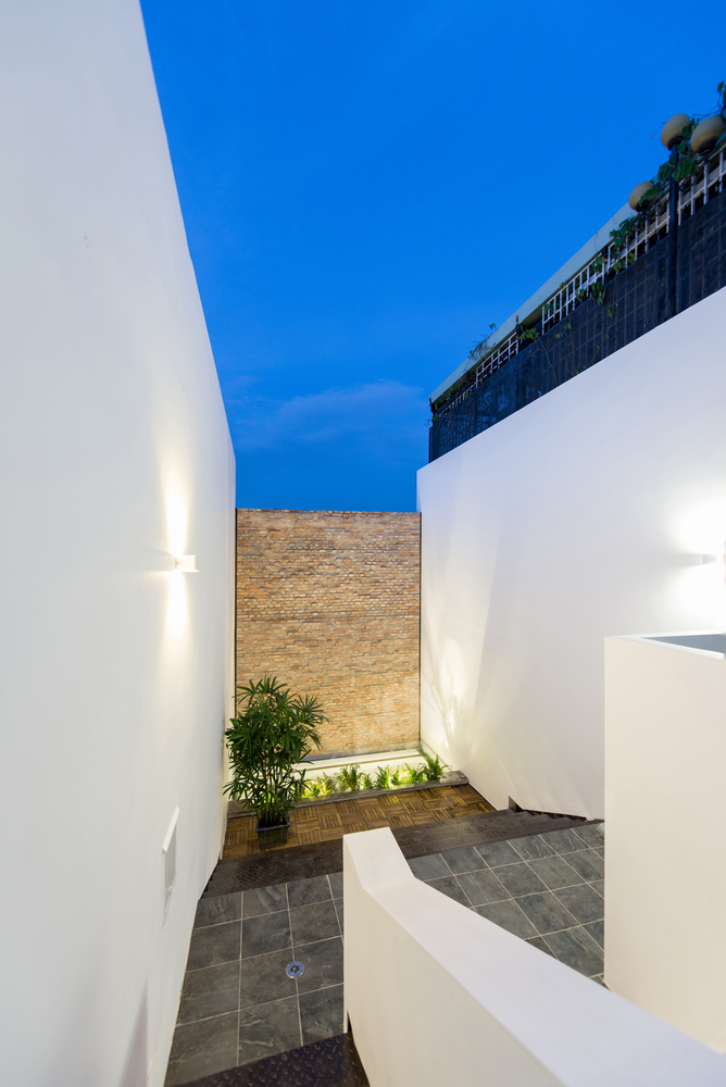 Backyard House  AD+studio-59